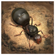 小小蚁国手游国际版(The Ants)v3.10.0 安卓中文版