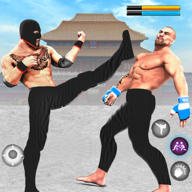 3DϷ(Kung Fu Karate Game)v1.0 ȥ