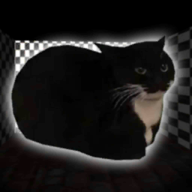 ҹ׷ģϷ2023°(Night Maxwell Cat Simulator)v7.5 ׿