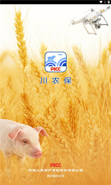 piccũapp2023°汾v1.0.0 ׿ͼ4