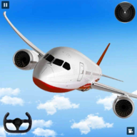ķɻģ(Aeroplane Landing)v2.4 ׿İ