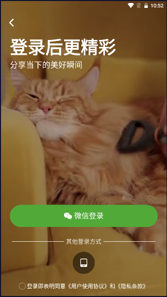 APP°汾