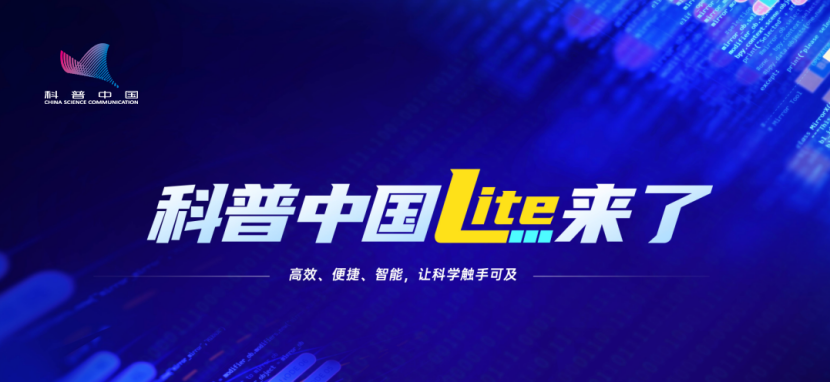 йLite2024°汾