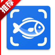 FishbyʶAPPv1.0.1 ׿İ