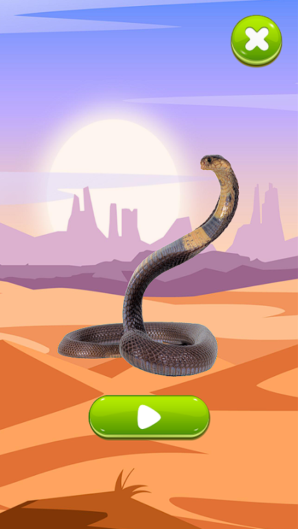 ߵģAPP(Snake sounds)