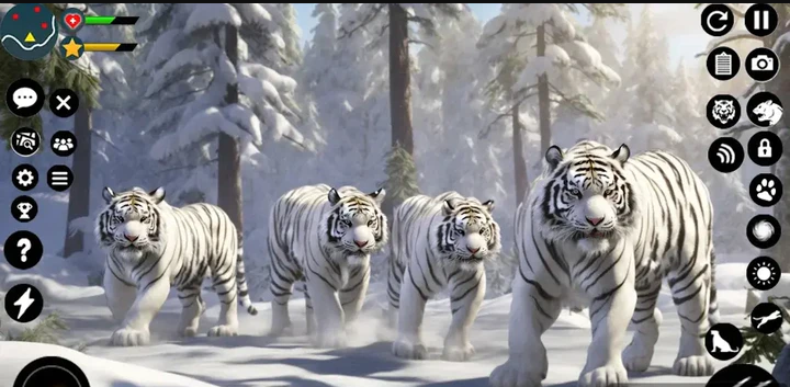 ׻3d(Snow White Tiger Family Sim 3D)