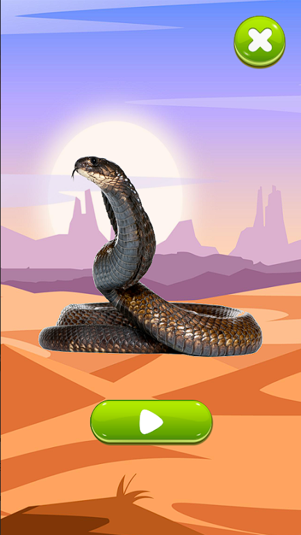 ߵģAPP(Snake sounds)v1.0.0 ׿ͼ1