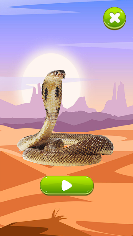 ߵģAPP(Snake sounds)v1.0.0 ׿ͼ4