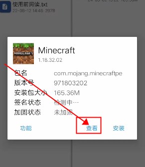 ҵ5dƤ(Minecraft)