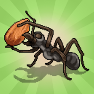 ڴֳģ(Pocket Ants)v0.0969 ׿İ