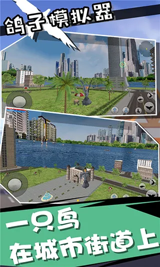 鸽子模拟器(鸽子模拟游戏)v1.0.0 手机版截图3