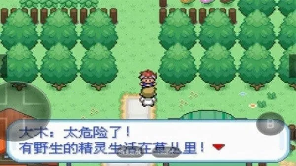 口袋妖怪暴龙版2025手机版v2.0.0 安卓版截图0