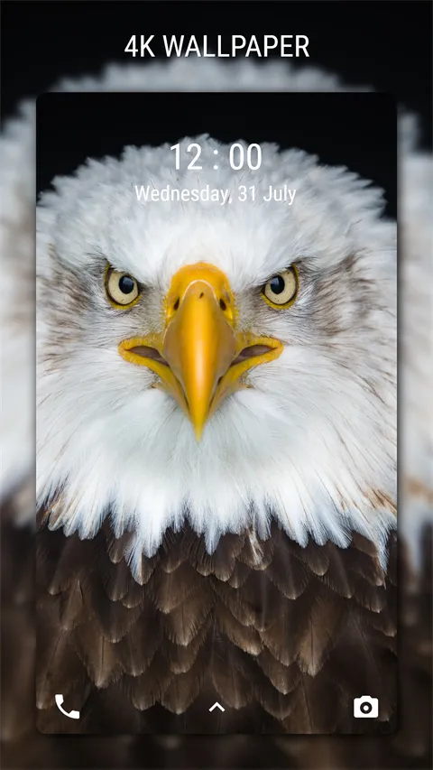 手机4K壁纸app最新手机版 手机4K壁纸app最新手机版