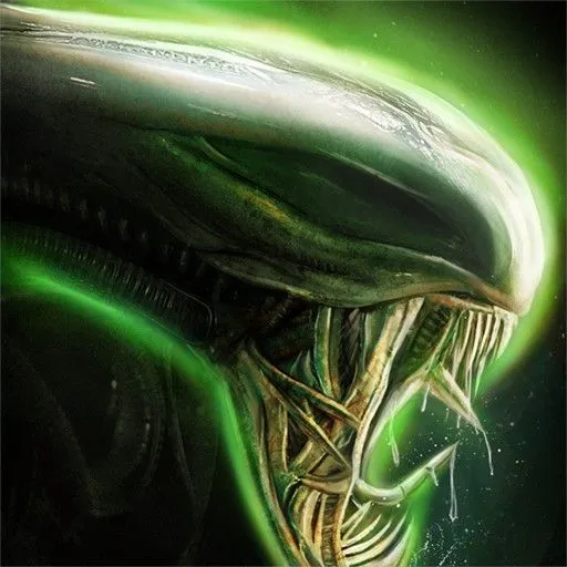 ɽ¼(ɽ¼)v1.78.0 ֻ