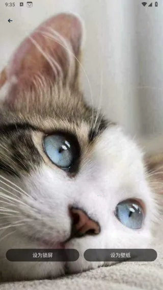 萌猫公园日常(宠语翻译通) 萌猫公园日常(宠语翻译通)