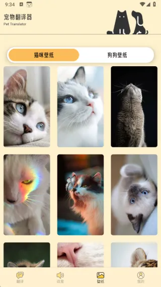 萌猫公园日常(宠语翻译通) 萌猫公园日常(宠语翻译通)