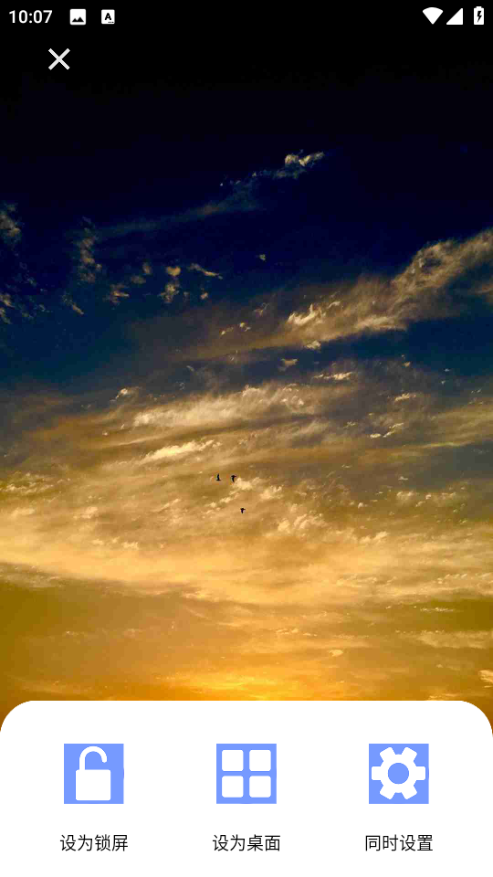 小猪壁纸最新安卓版 小猪壁纸最新安卓版