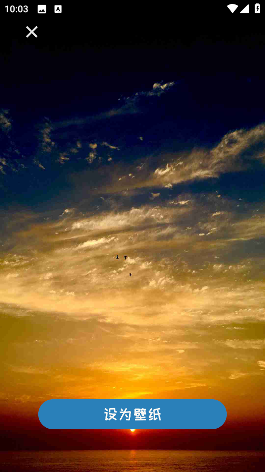 小猪壁纸最新安卓版 小猪壁纸最新安卓版