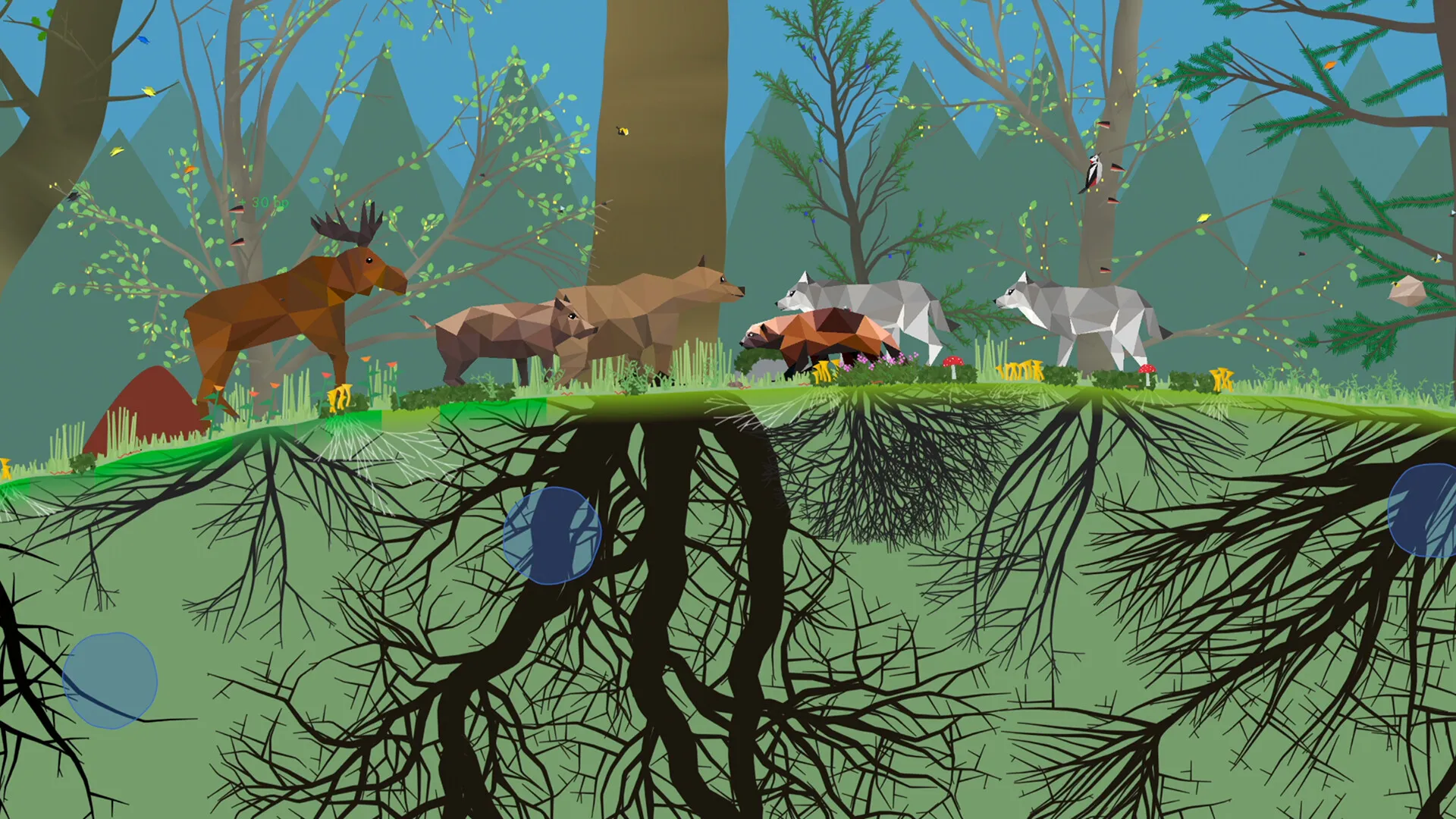 小松林(森林生态模拟) 小松林(森林生态模拟)