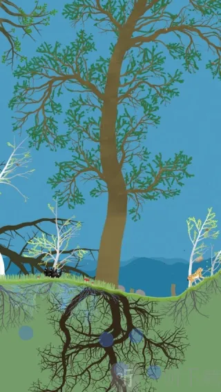 小松林(森林生态模拟) 小松林(森林生态模拟)