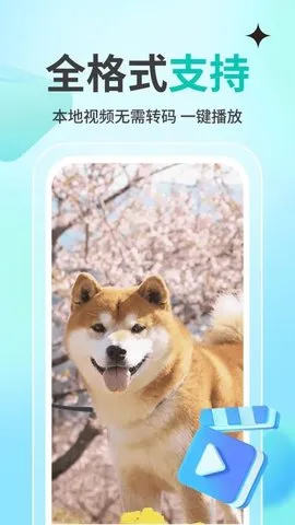 私人观影播放器player最新手机版v1.1.4 安卓版截图2