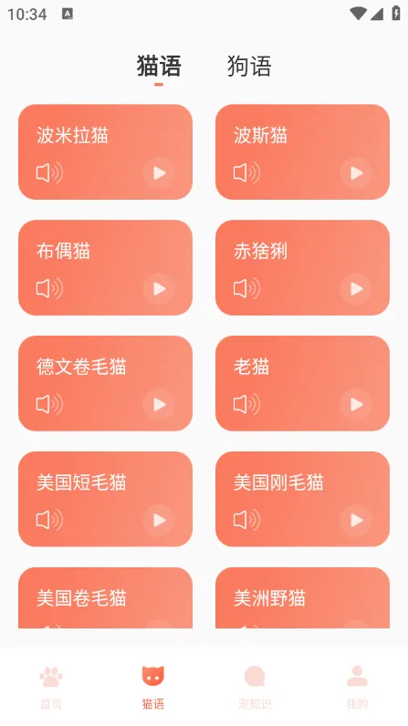 Peppy Cat最新安卓版v1.1.0 安卓版截图1