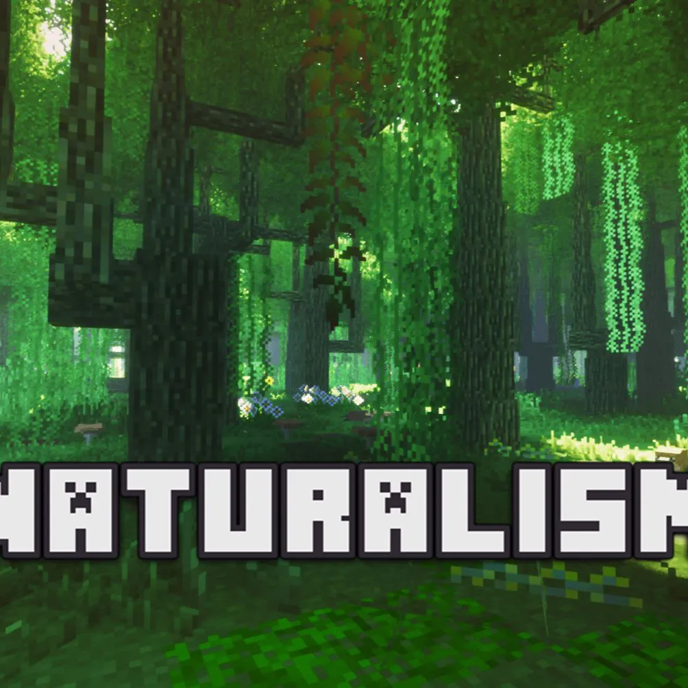 我的世界自然主义整合包2025下载