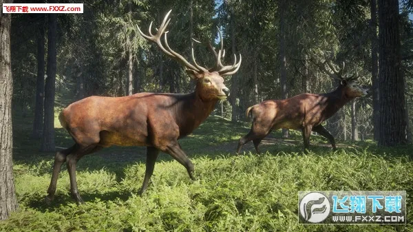 猎人:荒野的召唤最新手机版v1.0 手机版截图0