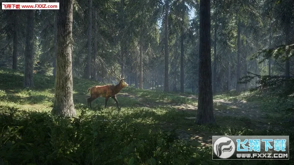 猎人:荒野的召唤最新手机版v1.0 手机版截图2