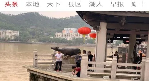 潮州Plus(潮州综合服务) 潮州Plus(潮州综合服务)