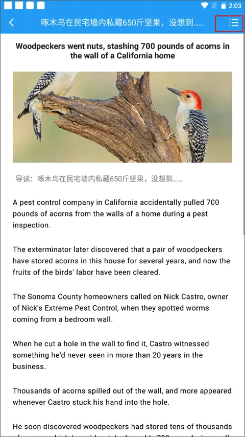 英语新闻2025最新版本 英语新闻2025最新版本