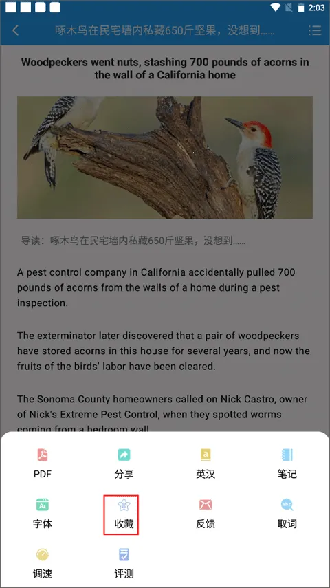 英语新闻2025最新版本 英语新闻2025最新版本