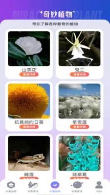 ֿһ(Ȼ)v1.0.4 ֻͼ3