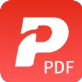 PDF(PDF)