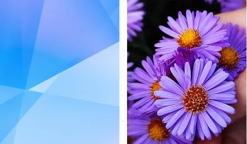 酷爱漫画壁纸(壁纸资源平台) 酷爱漫画壁纸(壁纸资源平台)