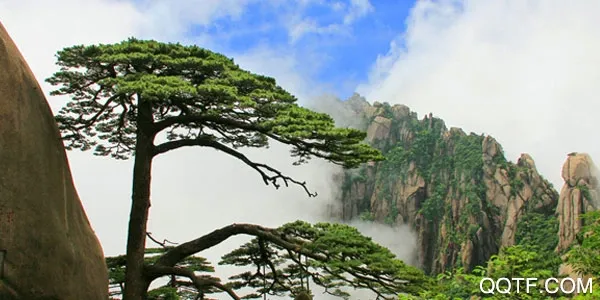 黄山官方平台(黄山旅游预订平台) 黄山官方平台(黄山旅游预订平台)