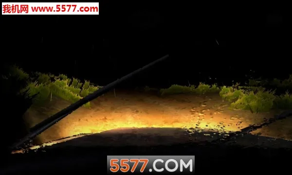 无尽夜行(夜晚驾驶游戏)v1.1 安卓版截图0