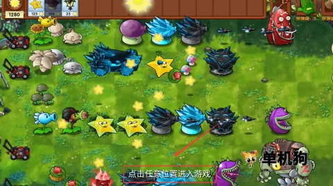 植物派对游乐园2025下载 植物派对游乐园2025下载