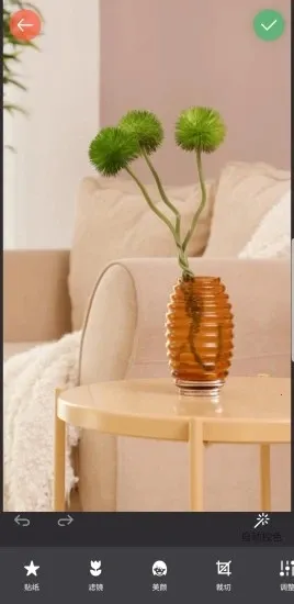 镜像相机2025手机版v2024.10.300 安卓版截图0