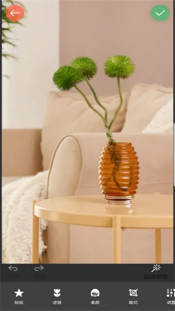 镜像相机2025手机版v2024.10.300 安卓版截图2