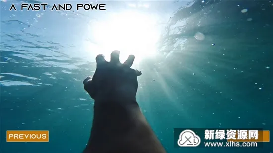 丛林生存模拟器2025最新版本v1.0 安卓版截图4