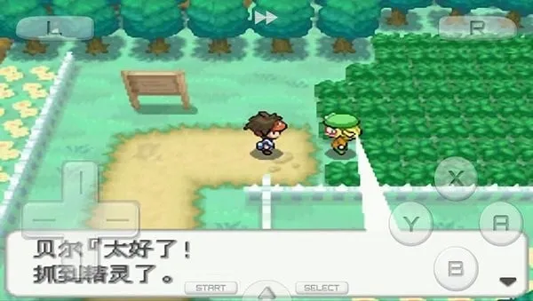 口袋妖怪火红金手指2025下载v1.8 安卓版截图2