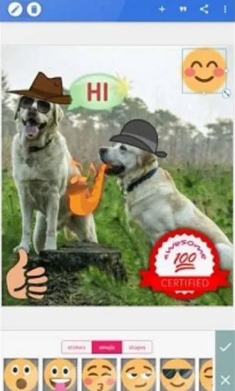 PixelLab中文版v2.1.1 安卓版截图3