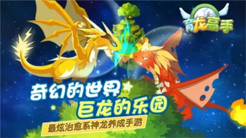 育龙高手(龙养成手游) 育龙高手(龙养成手游)