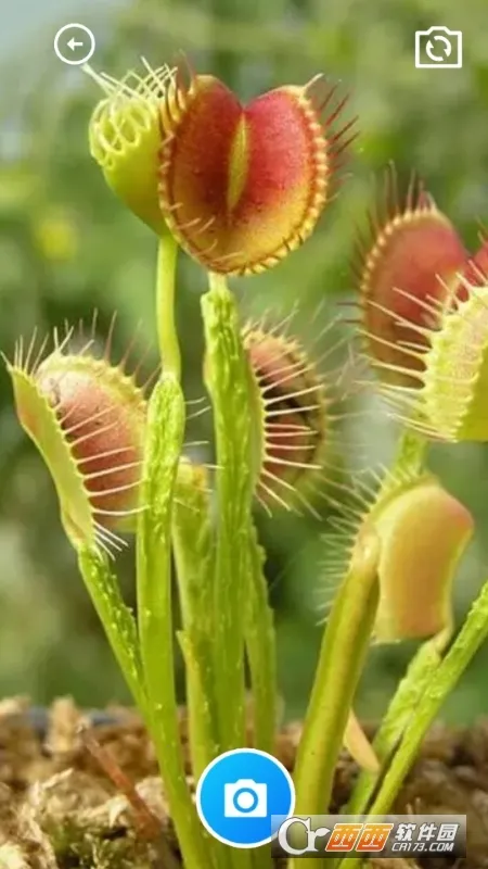 ����ȫ�ܹ�����(���߼�������)v1.0.0 ��׿���ͼ0