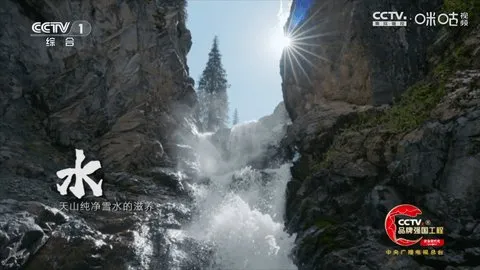 冰茶订阅专用(电视直播软件)v17 安卓版截图2