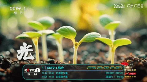 冰茶订阅专用(电视直播软件)v17 安卓版截图3