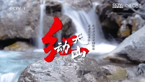 冰茶订阅专用(电视直播软件)v17 安卓版截图1