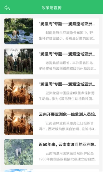 亚洲象预警2025最新版本 亚洲象预警2025最新版本