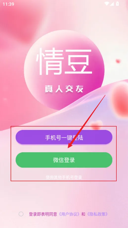 �鶹2025�ֻ���